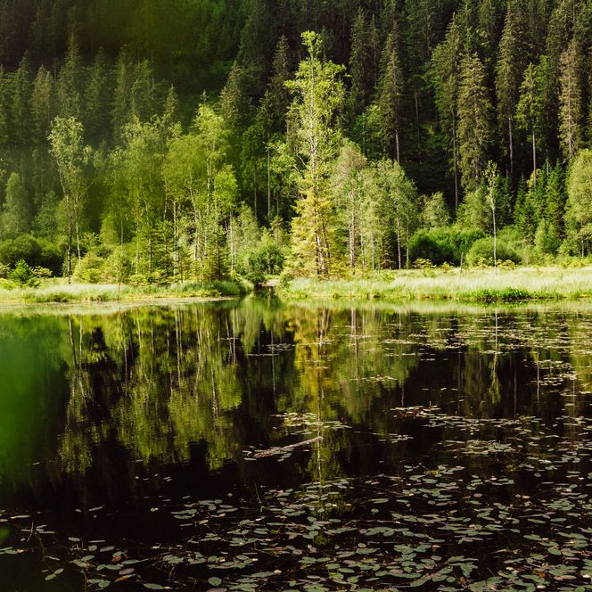 Ellbachsee in Mitteltal