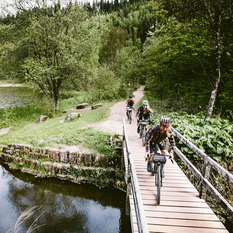 Personen fahren mit ihren Gravelbikes über eine Holzbrücke am Sankenbachsee