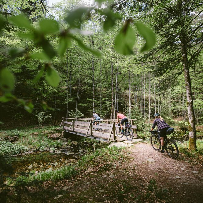 Mehrere Personen fahren mit ihren Gravelbikes über eine Holzbrück im Baiersbronner Wald