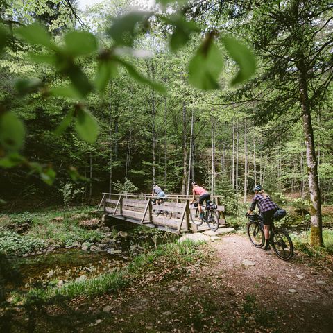 Mehrere Personen fahren mit ihren Gravelbikes über eine Holzbrück im Baiersbronner Wald