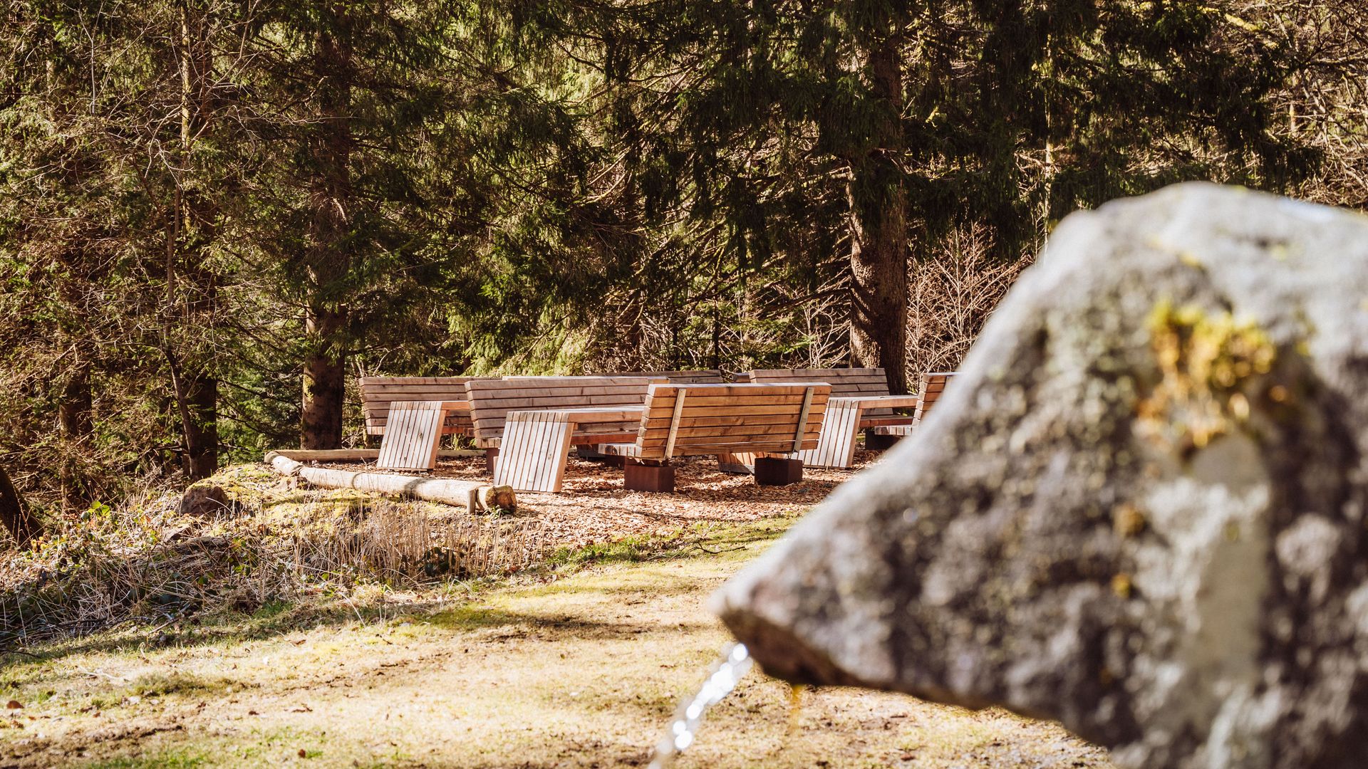 Brunnen an der Ellbachhütte in Baiersbronn-Mitteltal