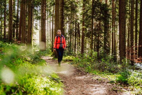 Wandern Sommerseite
