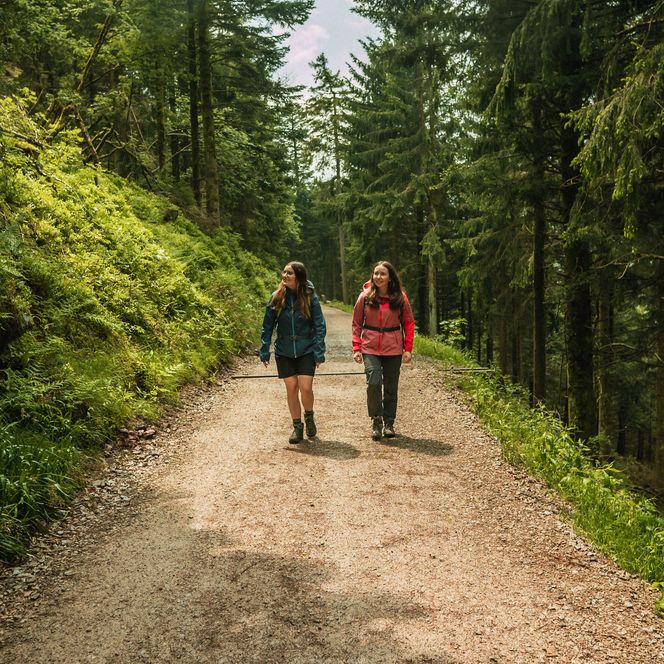 Zwei Frauen wandern auf einem Waldweg im Nationalpark Schwarzwald