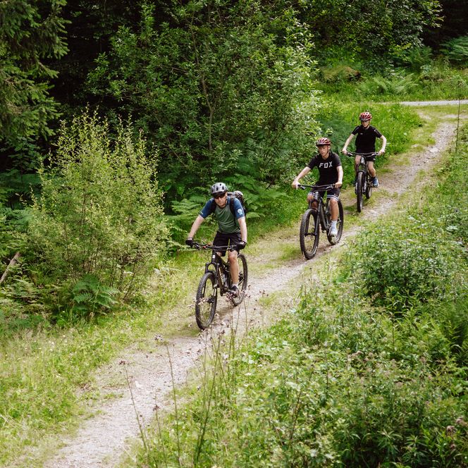 Biker fahren auf der Kids Tonbach Tour