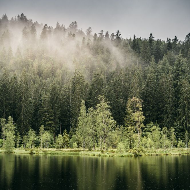 Buhlbachsee in Baiersbronn