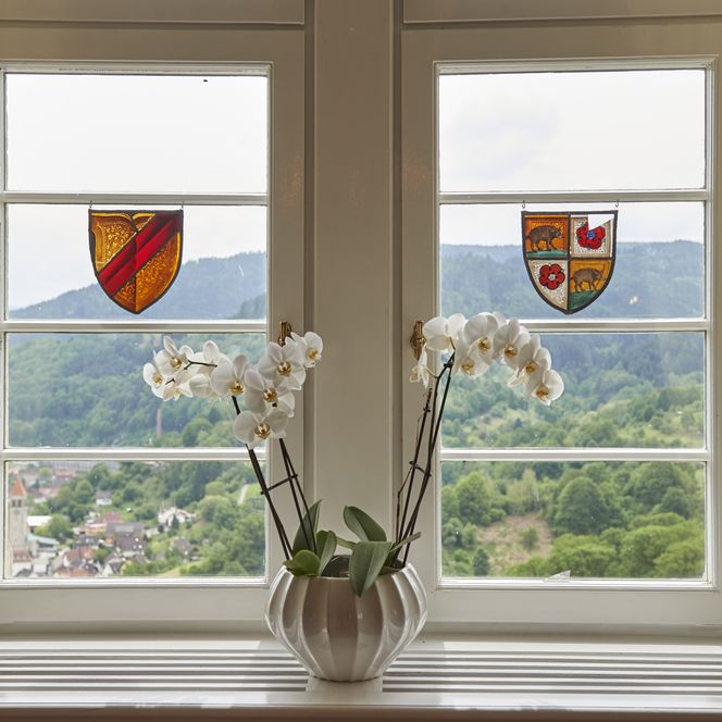 Weiße Orchidee auf einer Fensterbank im Schloss Eberstein in Gernsbach