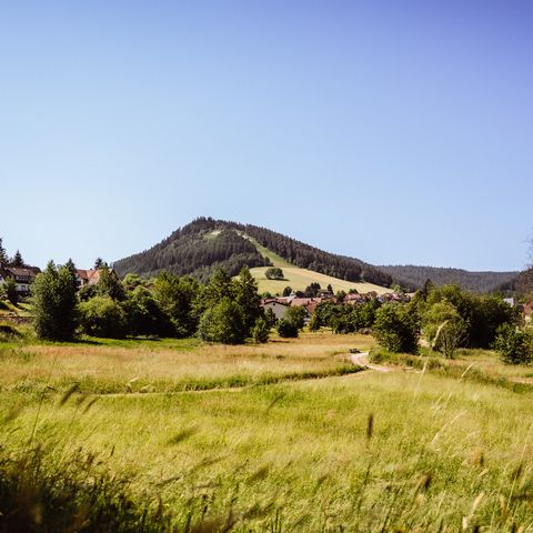 Ortsansicht von Baiersbronn mit Blick auf den Stöckerkopf