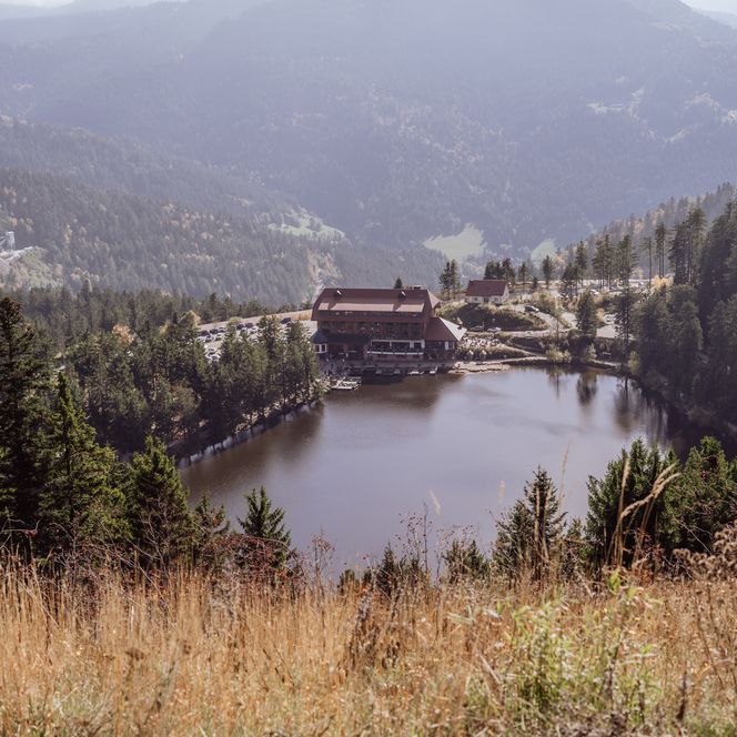 Aussicht auf den Mummelsee von der Hornisgrinde