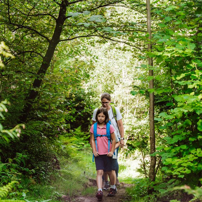 Familie wandert auf einem Wanderweg im Baiersbronner Wald