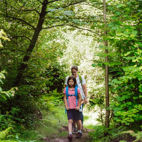 Familie wandert auf einem Wanderweg im Baiersbronner Wald