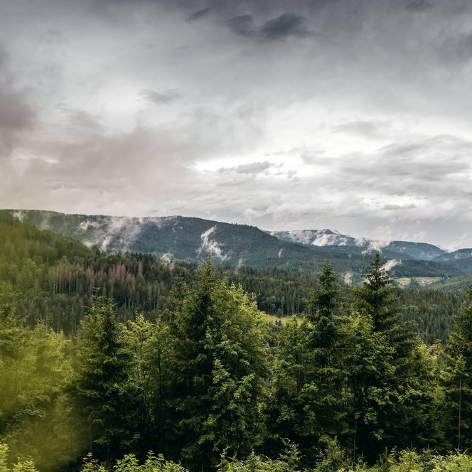 Blick über die Landschaft und den Wald im Schwarzwald