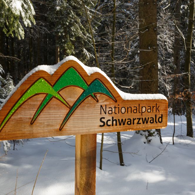 Ein Holzschild des Nationalparks Schwarzwald im Winter