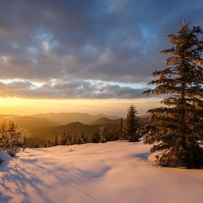 Schneebedeckte Landschaft im Nationalpark Schwarzwald bei Sonnenuntergang