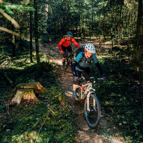 Mountainbiker fahren auf dem Schönblick-Trail im Baiersbronner Bikehimmel