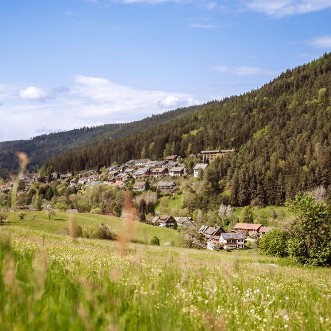 Ortsansicht von Tonbach