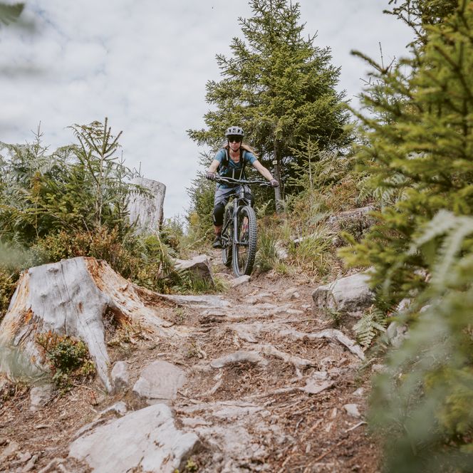 Biker auf einem schmalen Trail im Baiersbronner Bikehimmel