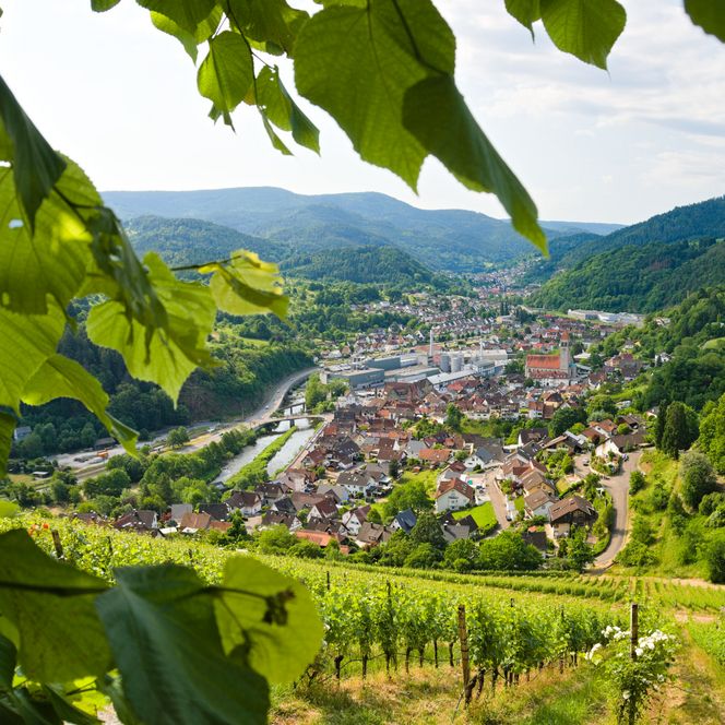 Aussicht vom Schloss Eberstein auf Obertsrot im Murgtal