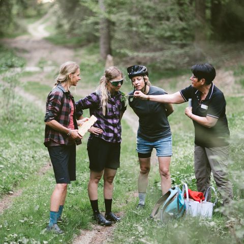 Drei Gravelbikerinnen bei einer Wildpflanzenführung durch Baiersbronn mit Wildpflanzenguide Anne Reichel