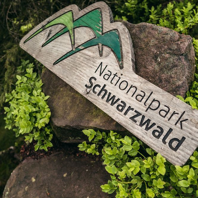 Holzschild vom Nationalpark Schwaruwald in der Natur