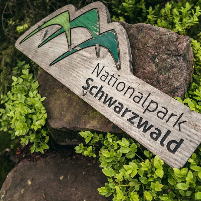 Holzschild des Nationalpark Schwarzwald im Wald