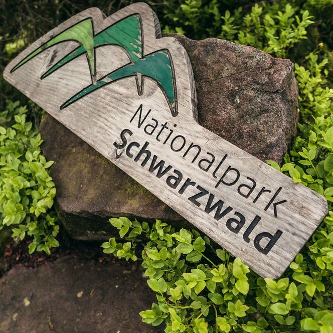 Holzschild vom Nationalpark Schwarzwald liegt im Wald