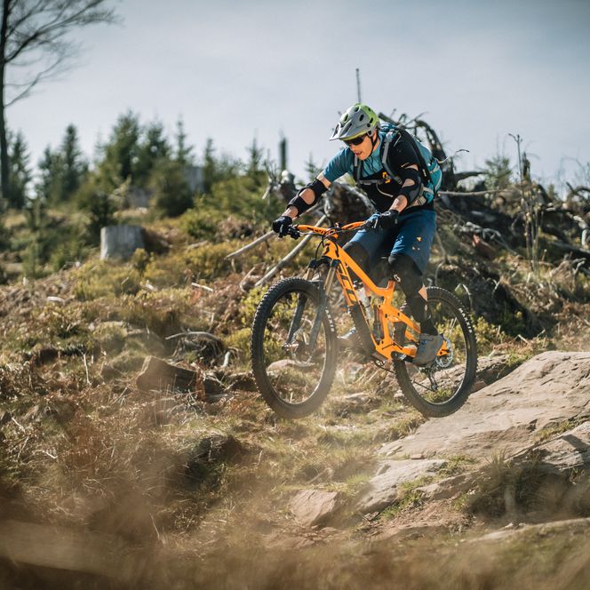 Ein Mountainbikefahrer fährt über Steine auf einem Trail in Baiersbronn